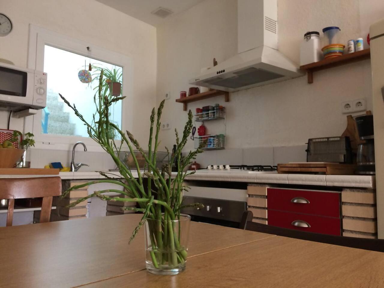 Casa Taller Penelles Penellas Экстерьер фото